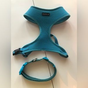 Turquoise Dog Harness and Collar